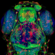 Image for article titled The year's strangest, most beautiful visions of the microverse